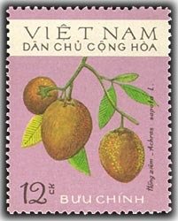 Stamp, Sapodilla (Achras sapota), Vietnam,  , Fruits