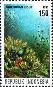 Natural environment - Surgeonfish (Acanthurus sp.)
