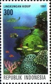 Giant Oceanic Manta Ray (Manta birostris), Brain Coral