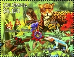 Flora Fauna (Cats)