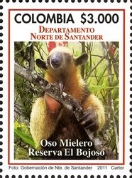 Southern Tamandua (Tamandua tetradactyla)