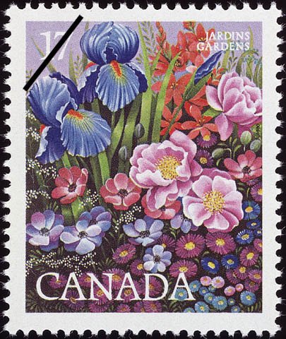 Garden Flowers