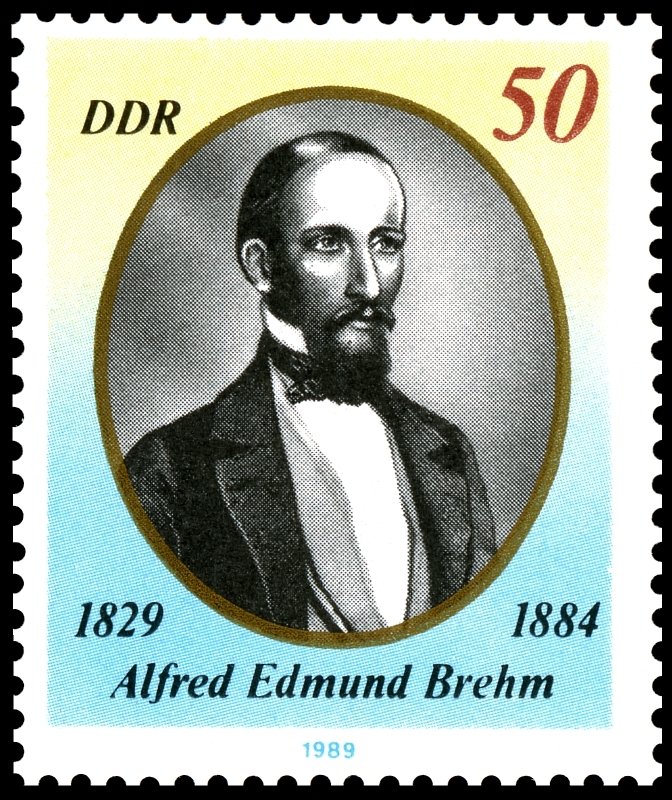 Alfred Edmund Brehm (1829-1884)