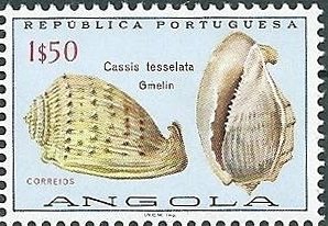 Stamp, West African Helmet (Cassis tesselata), Angola,  , Shells, Animals (Fauna)