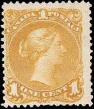 Queen Victoria - orange yellow