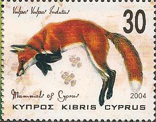 Red Fox (Vulpes vulpes ssp. indutus)