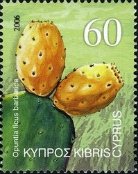Stamp, Opuntia ficus barbarica ("Barbary fig cactus"-prickly pear), Cyprus,  , Fruits, Cacti