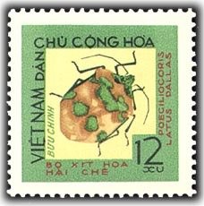 Stamp, Shield-backed Bug (Poeciliocoris latus), Vietnam,  , Insects, Animals (Fauna)