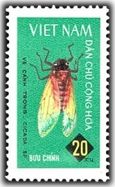 Stamp, Cicada (Cicada sp.), Vietnam,  , Insects, Animals (Fauna)