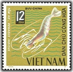 Indian Prawn (Penaeus indicus)
