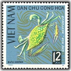 Swimming Crab (Portunus sp.) 