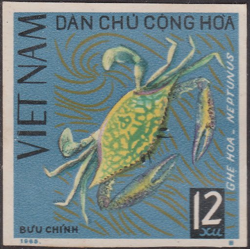Swimming Crab (Portunus sp.)