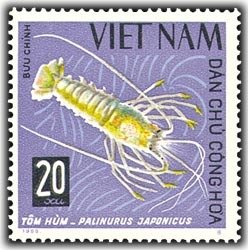 Japanese Spiny Lobster (Palinurus japonicus) 