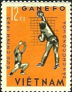 Volleyball
