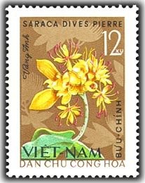 Stamp, Saraca Dives (saraca Dives Pierre), Vietnam,  , Flowers, Plants (Flora)