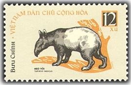 Asian Tapir (Tapirus indicus)