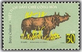 Sumatran Rhinoceros (Dicerorhinus sumatrensis)