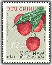 Litchi (Nephelium litchi)