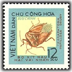 Litchi Stink Bug (Tessaratoma papillosa)