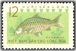 Stamp, Common Carp (Cyprinus carpio), Vietnam,  , Fishery, Fishes