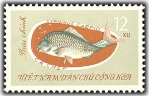 Stamp, Common Carp (Cyprinus carpio), Vietnam,  , Fishes