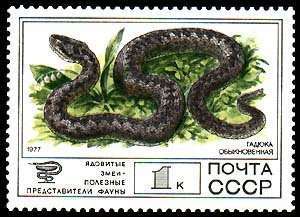 Stamp, Adder (Vipera berus) , Soviet Union, USSR,  , Reptiles, Snakes, Animals (Fauna)