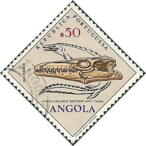 Angolasaurus Bocagei Ant.