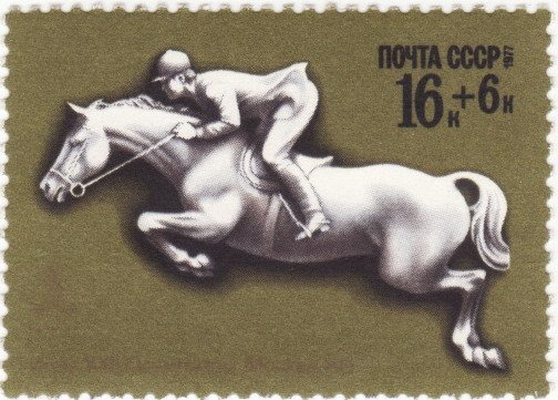 Show Jumping