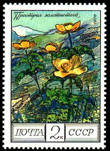 Stamp, Pasqueflowers - Рulsatilla aurea, Soviet Union, USSR,  , Flowers, Plants (Flora)