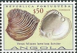 Stamp, (Venus foliaceo lamellosa), Angola,  , Shells, Animals (Fauna)