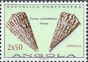 Stamp, Butterfly Cone (Conus prometheus), Angola,  , Shells, Animals (Fauna)
