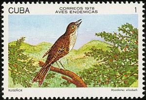 Stamp, Cuban Solitaire (Myadestes elisabeth), Cuba,  , Birds, Animals (Fauna)