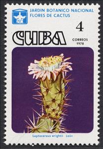 Stamp, Leptocereus wrightii, Cuba,  , Flowers, Cacti, Plants (Flora)