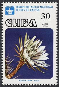 Stamp, Harrisia taetra, Cuba,  , Cacti, Plants (Flora)