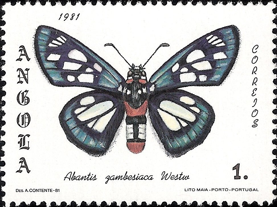 (Abantis zambesiaca)