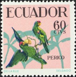 Scarlet-fronted Parakeet (Psittacara wagleri) 	