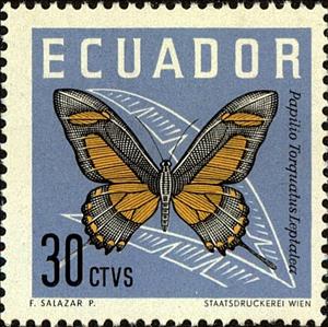 Stamp, Torquatus Swallowtail (Papilio torquatus ssp. leptalea), Ecuador,  , Insects, Butterflies