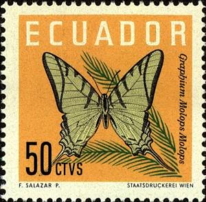 Stamp, Swallowtail (Graphium molops), Ecuador,  , Insects, Butterflies