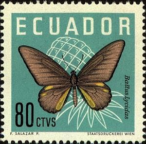 Stamp, Cramer's Swallowtail (Battus lycidas), Ecuador,  , Insects, Butterflies