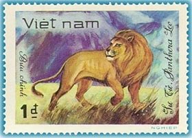 Lion (panthera Leo)