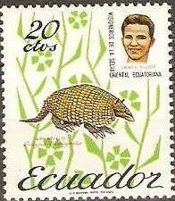 Armadillo (Dasypus sp.), James Elliot