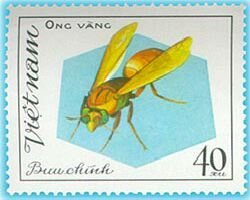 Ong Vang