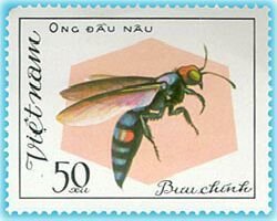Ong Dau Nau