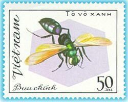 Stamp, To vo xanh, Vietnam,  , Insects, Animals (Fauna)