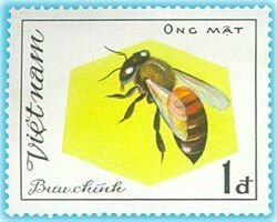 Stamp, Ong Mat, Vietnam,  , Insects, Bees, Animals (Fauna)