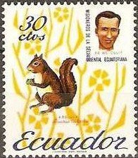 Squirrel (Sciurus vulgaris), Ed McCully