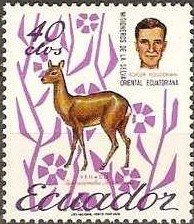 North Andean Deer (Hippocamelus antisensis), Roger Youderian