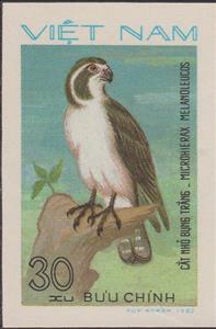 Stamp, Pied Falconet (Microhierax melanoleucos), Vietnam,  , Birds, Birds of Prey