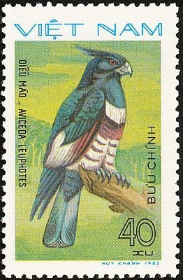 Stamp, Black Baza (Aviceda leuphotes), Vietnam,  , Birds, Birds of Prey