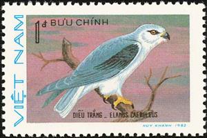Stamp, Black-winged Kite (Elanus caeruleus), Vietnam,  , Birds, Birds of Prey, Animals (Fauna)